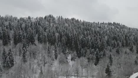 Drohnenaufnahme-Einer-Friedlichen-Winterlandschaft-Mit-Einem-Bach,-Der-Sich-Durch-Einen-Schneebedeckten-Wald-Schlängelt-Und-Die-Schönheit-Der-Jahreszeit-Zeigt