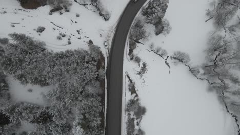 A-charming-road-covered-in-snow-with-beautiful-trees-on-the-sides-winter-landscape