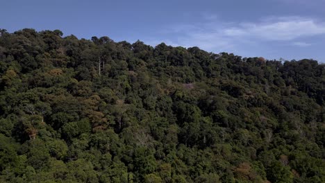 Gesundes-Ökosystem,-Grünes-Dschungeldach-Bedeckt-Die-Hänge-Der-Dramatischen-Berggipfel-In-Langkawi,-Malaysia