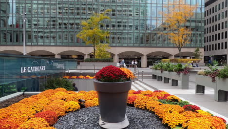 Jardín-De-Flores-Coloridas-Urbanas-En-La-Explanada-De-Ville-Marie-En-El-Centro-De-Montreal