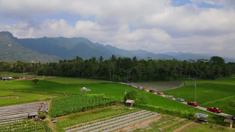 Aerial-view-of-a-group-of-colorful-cars-crossed-the-road-in-the-middle-of-green-rice-fields-with-hills-in-the-background