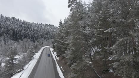 Un-Camino-Panorámico-Que-Atraviesa-Un-Bosque-Cubierto-De-Nieve,-Con-árboles-Bordeando-El-Camino-En-Un-Tranquilo-Entorno-Invernal