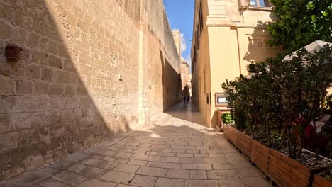 Navegando-Rápidamente-Por-Las-Acogedoras-Y-Estrechas-Calles-De-Malta,-Con-Visitantes-Y-Viajeros-Acompañados-Por-Carruajes-Tirados-Por-Caballos.