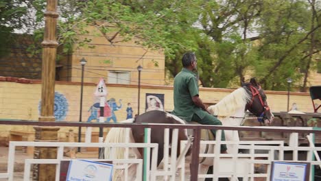 Men-rides-horse-on-the-busy-main-road