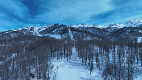 A-winding-road-through-a-snowy-forest,-creating-a-peaceful-and-serene-winter-scene