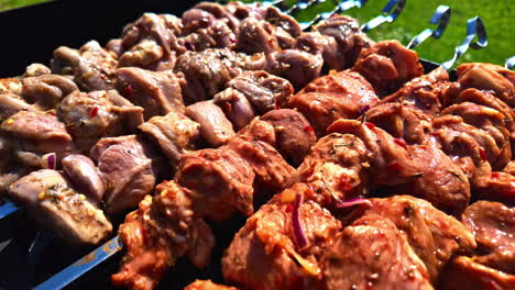 Skewered-meat-bbq-on-a-sunny-day-in-summer,-close-up