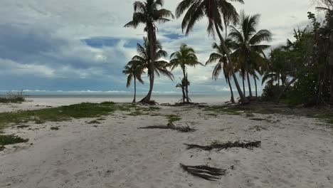 Ein-Stück-Paradies-Am-Fort-Myers-Beach-In-Florida