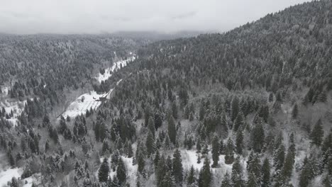 A-breathtaking-winter-wonderland-scene-with-snow-covered-trees-and-a-serene-atmosphere