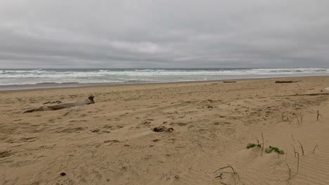 Strandwellen-An-Einem-Trüben-Tag