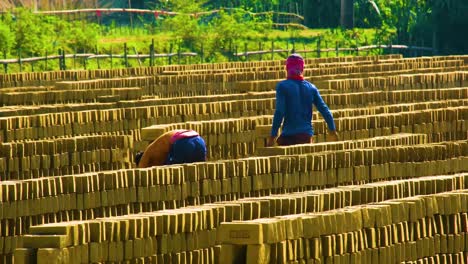 Arbeiter-Neigen-Dazu,-Reihen-Von-Trocknenden-Ziegeln-In-Einem-Sonnendurchfluteten-Südasiatischen-Feld,-Die-Erfassung-Eines-Arbeitsintensiven-Prozesses