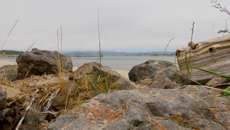 Paseo-Marítimo-Rocoso-En-Un-Día-Nublado