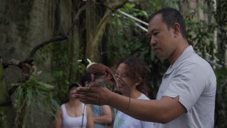 man-holds-a-Bird-of-paradise-on-his-hand-at-the-Bali-Bird-Park