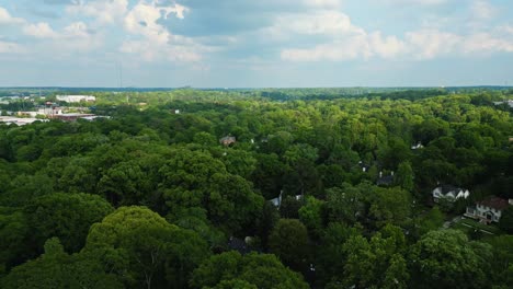 Bajando-Estructuras-Entre-Verdes-Y-Exuberantes-Bosques-Cerca-De-Las-Orillas-De-Los-Ríos