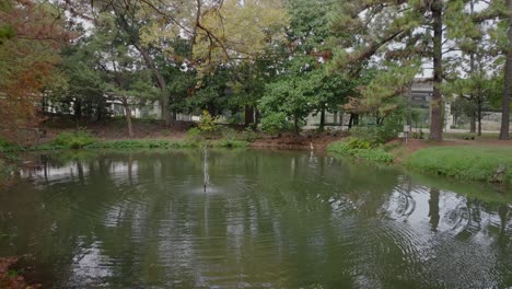 Teich,-Umgeben-Von-Bäumen-In-Einem-Stadtpark-In-Houston