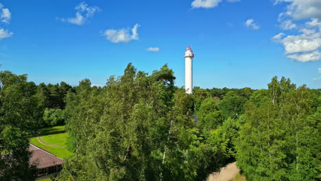 Lush-green-forest-with-tall-trees-on-a-sunny-day,-aerial-view