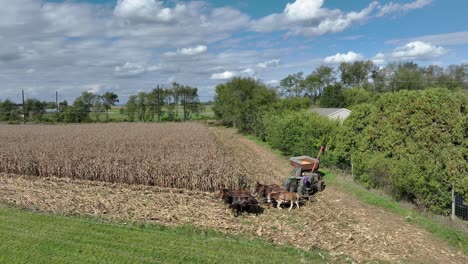 Time-honored-harvest-methods,-with-horses,-in-a-tranquil-rural-landscape-as-autumn-colors-emerge