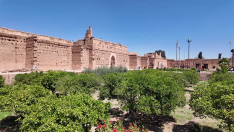 Jardín-De-árboles-De-Argán-Dentro-Del-Riad-Emblemático-Del-Palacio-Badi-En-El-Casco-Antiguo-De-Marrakech,-Marruecos