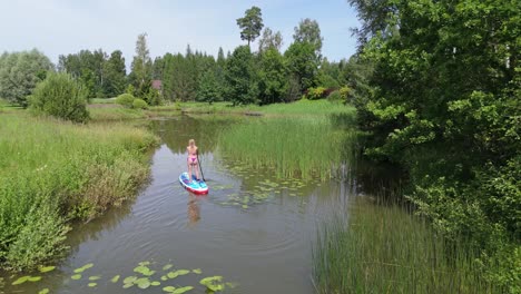 Fliegen-über-Junge-Frau-Stand-Up-Paddeln-Auf-SUP-Board-Auf-Teich-Im-Sommer