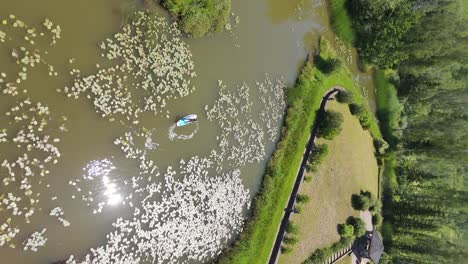 Fliegen-über-Junge-Frau-Stand-Up-Paddeln-Auf-SUP-Board-Auf-Teich-Im-Sommer