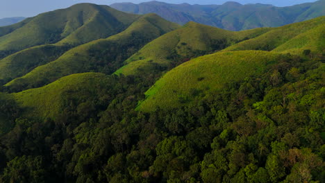 Luftaufnahme-Von-Waldwiesen-In-Chikmagalur-Vom-Devarmane-Gipfel,-Karnataka,-Indien