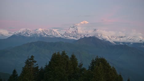 Mountains-and-Forest-Scenery-at-Sunrise-in-Nepal,-Pink-Sunrise-Sky-and-Beautiful-Himalayas-Mountains-Landscape-at-Poon-Hill-Viewpoint-on-Trek-on-Trekking-and-Hiking-in-Nepal,-Snowcapped-Mountain-Tops