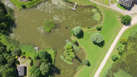 Fliegen-über-Junge-Frau-Stand-Up-Paddeln-Auf-SUP-Board-Auf-Teich-Im-Sommer