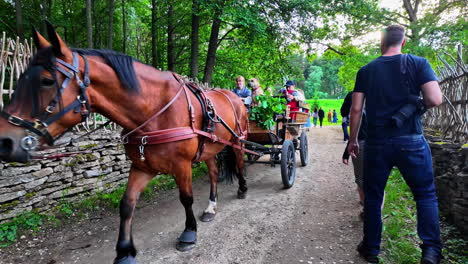 Nostalgic-horse-cart-travel-at-Estonian-Open-Air-Museum,-showcasing-cultural-heritage