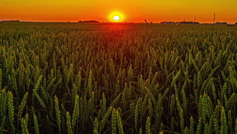 Timelapse-Estático-De-Puesta-De-Sol-En-Un-Campo-Con-Maravillosos-Colores-En-El-Horizonte-Hasta-Que-Se-Oculta-El-Sol