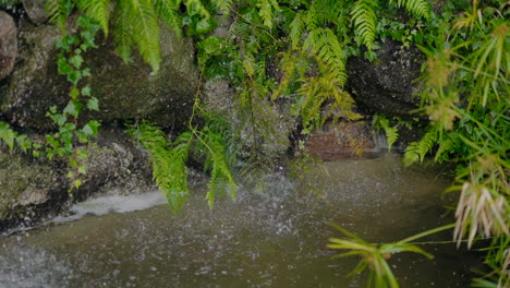 Small-waterfall-cascading-into-a-pond-surrounded-by-rocks,-ferns,-and-lush-greenery