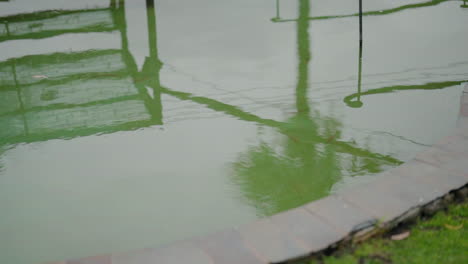 Reflection-of-structures-and-palm-trees-in-a-calm,-greenish-water-surface-of-a-lake-or-pond