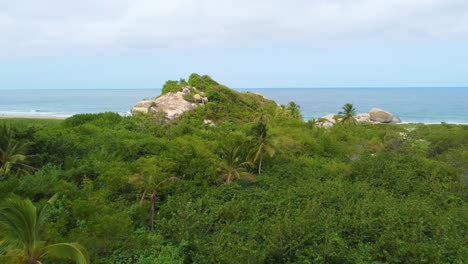 Drone-flies-over-green-forest-trees-and-shows-sea-in-Santa-Marta,-Colombia