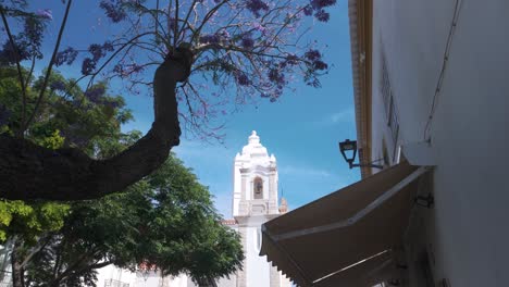 Igreja-de-Santo-António-church-tower-framed-by-a-blooming-tree-in-Lagos,-Portugal