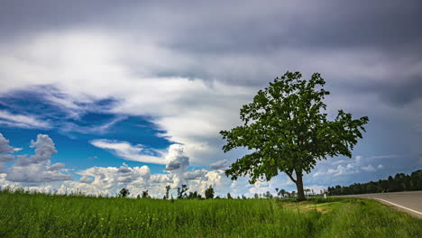 Countryside-field-road-panoramic-view-with-clouds-in-time-lapse