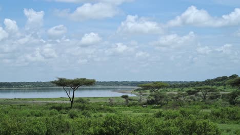 African-Landscape-Scenery-in-Africa,-Lush-Green-Greenery-and-Blue-Sky-and-Clouds-at-Ndutu-Lake-National-Park-in-Ngorongoro-Conservation-Area-in-Tanzania-on-Safari-in-Beautiful-Scene