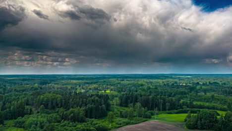 Aerial-drone-backward-moving-shot-over-dense-green-forest-with-white-clouds-passing-by-in-timelapse-on-a-sunny-day