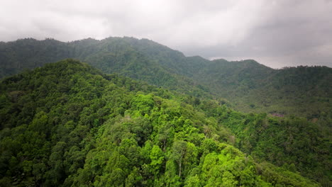 Mountain-tops-of-vibrant-green-trees-with-a-cloudy-sky,-and-storm-looming