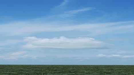 Background-of-Africa-Plains-and-Blue-Sky,-African-Landscape-Scenery-Vertical-Video-for-Social-Media,-Instagram-Reels-and-Tiktok-in-Serengeti-National-Park-in-Tanzania