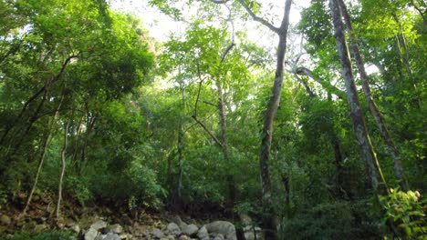 Drone-Vuela-Desde-El-Agua-Con-Piedras-De-Guijarros-Hasta-árboles-Forestales-En-Santa-Marta,-Colombia