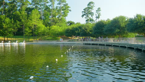 La-Vía-Fluvial-En-La-Ciudad-De-Woodlands-En-Texas.