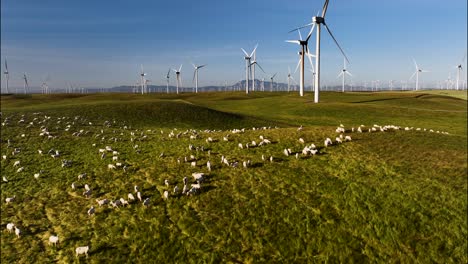 Videos-De-Turbinas-Y-Ovejas-En-El-Campo