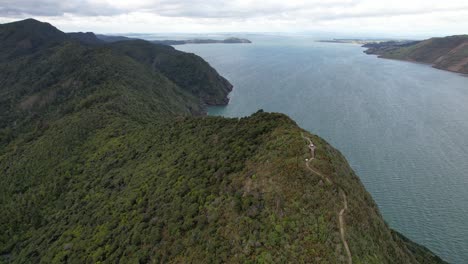 Omanawanui-Track-Along-Wonga-Wonga-Bay-In-Auckland,-New-Zealand---Aerial-Shot