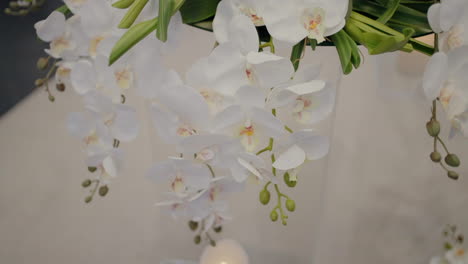 Primer-Plano-De-Orquídeas-Blancas-Con-Tallos-Verdes,-Bellamente-Dispuestas-Para-La-Decoración-De-Una-Boda