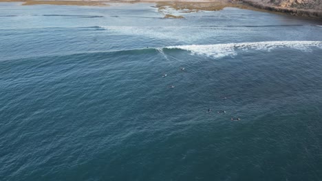 Toma-De-Drone-De-Un-Surfista-Tomando-Una-Ola-Rápida-En-La-Gran-Ensenada-Australiana,-Playa-De-Cactus,-Australia-Del-Sur