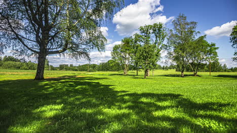 Rasenmäher-Verwandelt-Im-Zeitraffer-Schnell-Einen-Verwilderten-Rasen-In-Eine-Unberührte-Landschaft