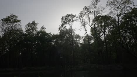 a-lake-surrounded-by-trees