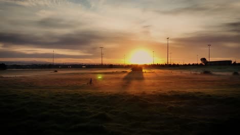 Schöne-Sonnenaufgang-Frau-Zu-Fuß-Durch-Feld-Mit-Zwei-Hunden