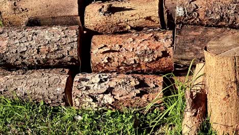 Sustainable-wood-pile-for-burning,-in-a-natural-setting---stacked-on-a-layer-of-green-grass