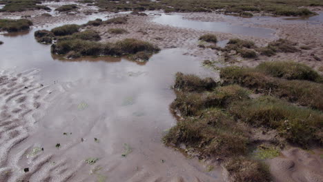 Plano-Medio-De-La-Playa-De-Theddlethorpe,-Dunas,-Reserva-Natural-Nacional-De-Saltfleetby.