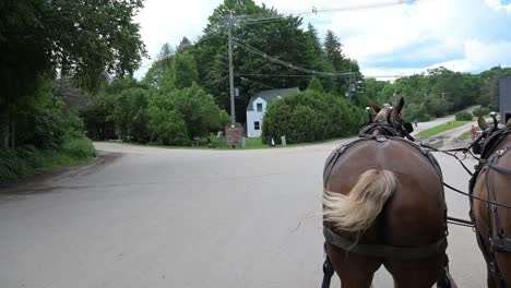 horse-excitedly-wags-its-tail-near-the-stable-barn-it-calls-home-in-the-summertime-on-Mackinac-Island,-Michigan