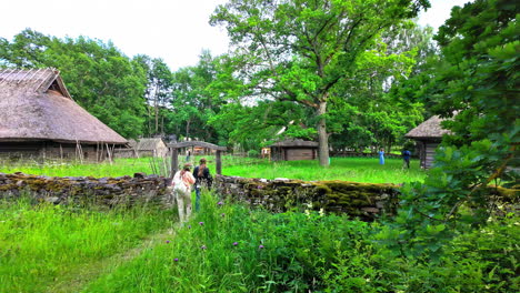 People-are-walking-through-the-nature-of-a-green-park-with-wooden-buildings,-a-stone-wall-with-an-entrance-and-high-grass-in-Tallinn,-Estonia